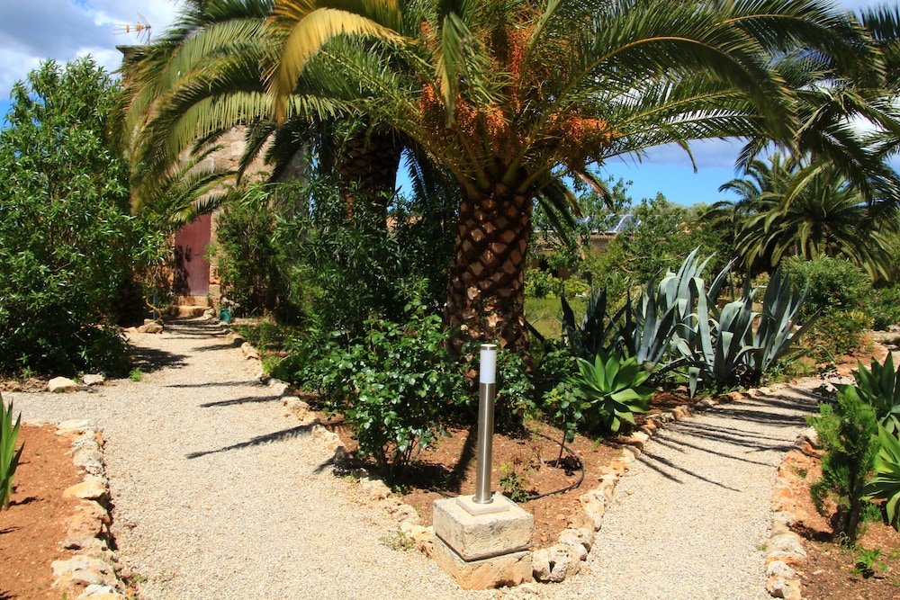 Finca Hotel Predio Son Serra foto 32