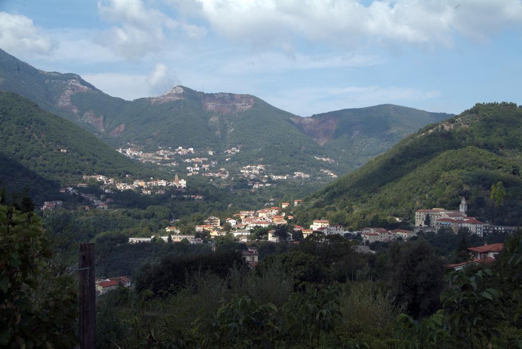 Tramonti Green image 2