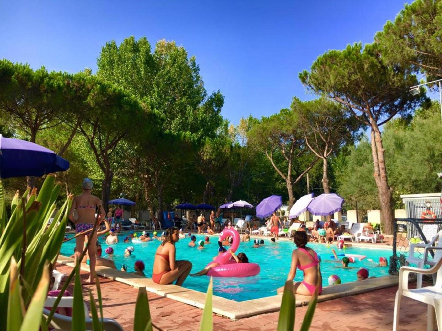 Camping Village Punta Navaccia foto 5