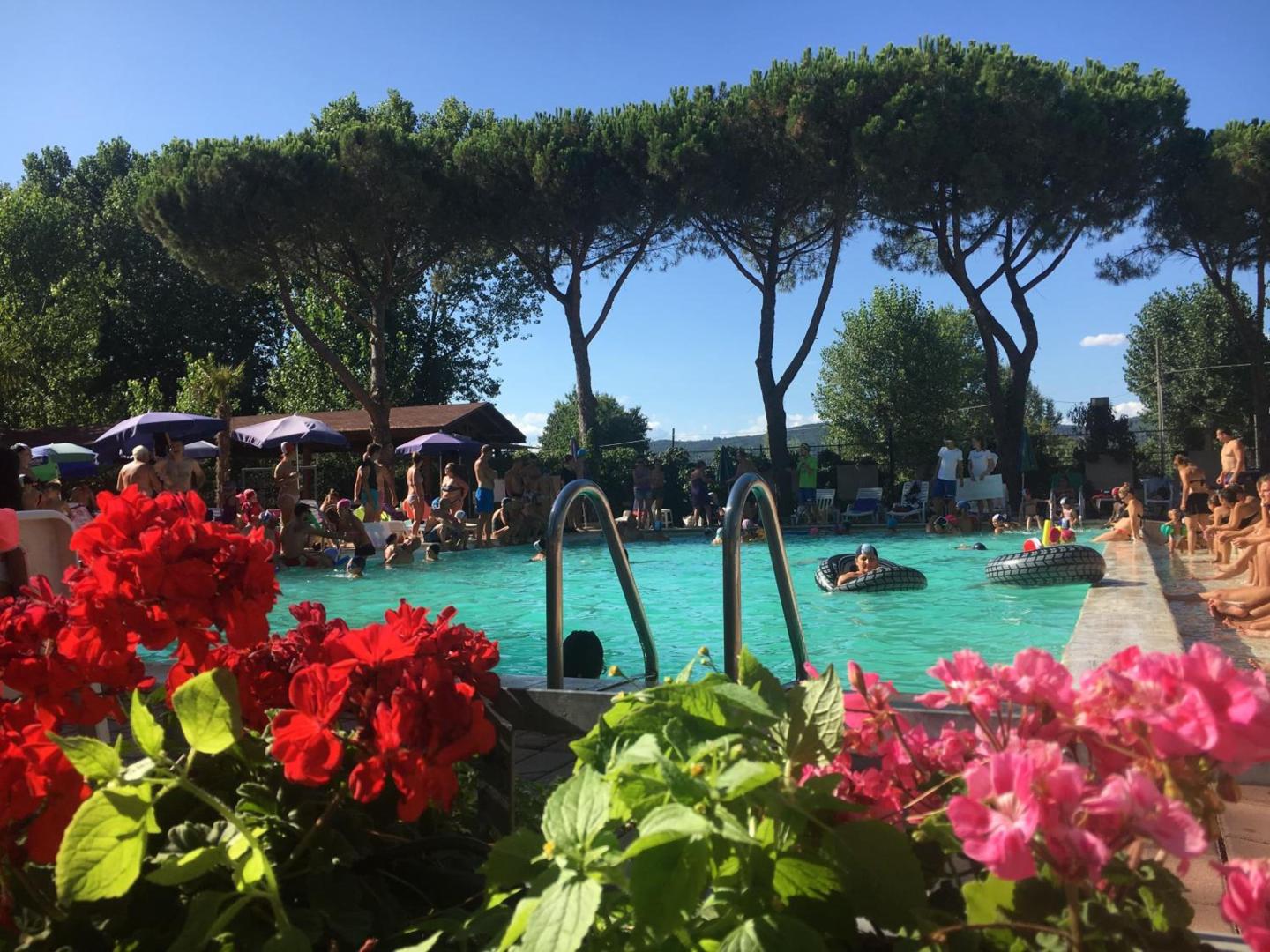 Camping Village Punta Navaccia foto 6