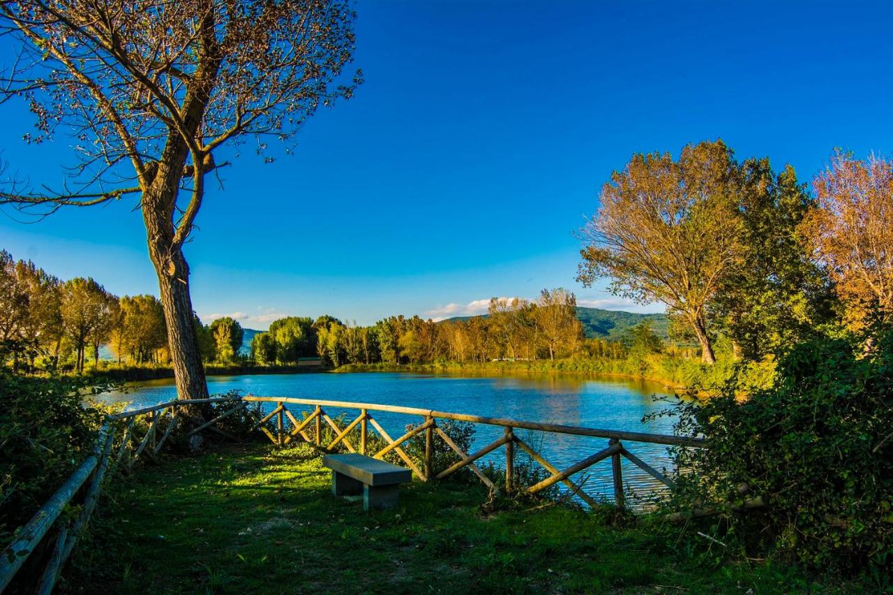 een bankje naast een hek aan een meer bij Camping Village Punta Navaccia in Tuoro sul Trasimeno