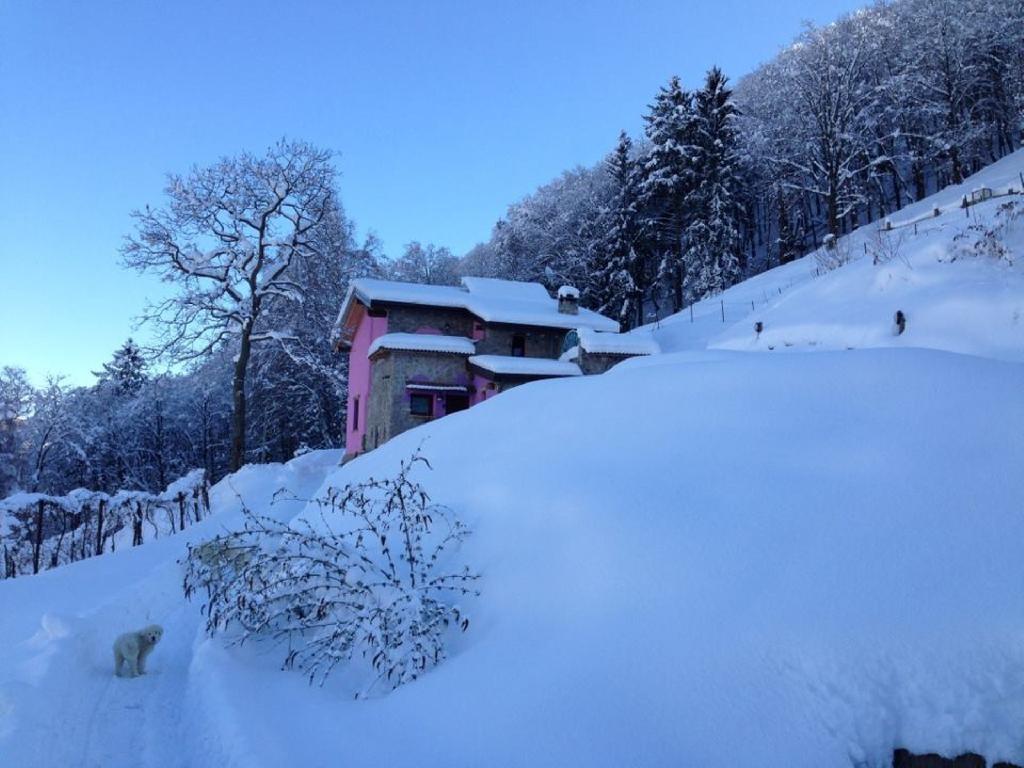 Agriturismo Al Marnich foto 16