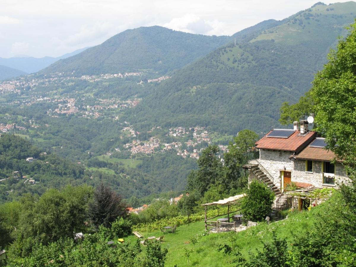 Agriturismo Al Marnich.