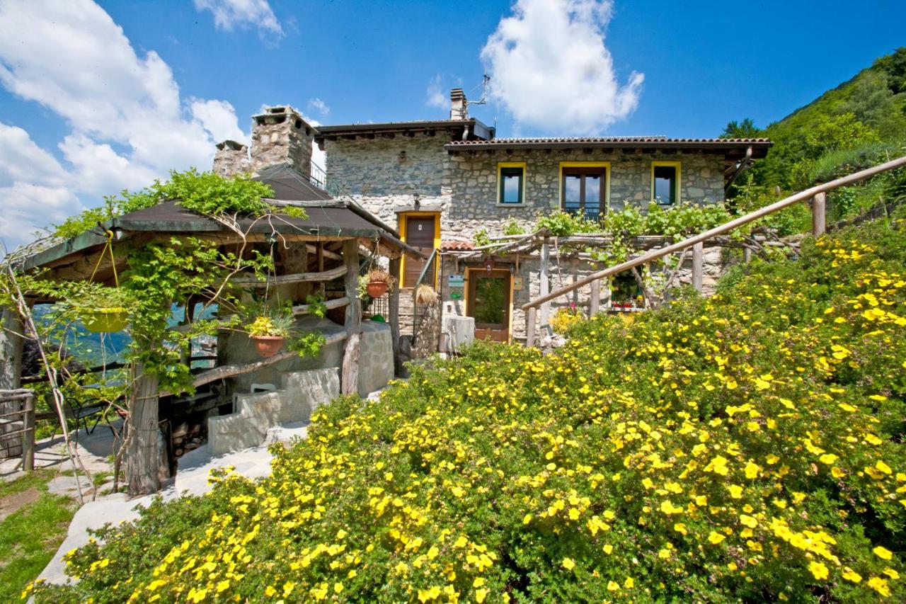 een stenen huis met gele bloemen ervoor bij Agriturismo Al Marnich in Schignano