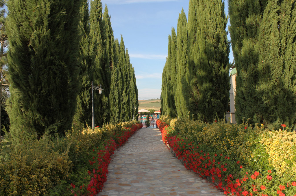 Hotel Fattoria Belvedere foto 28