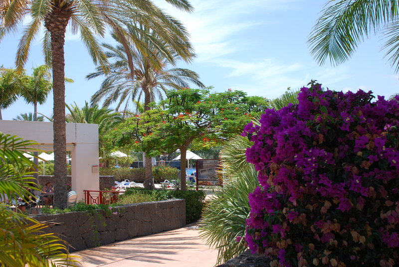 Hotel Costa Calero Thalasso & Spa foto 234