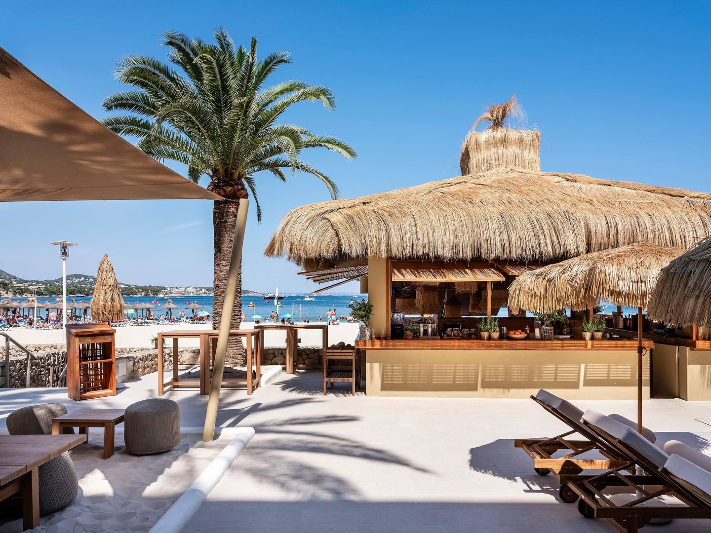 Zel Mallorca foto 33