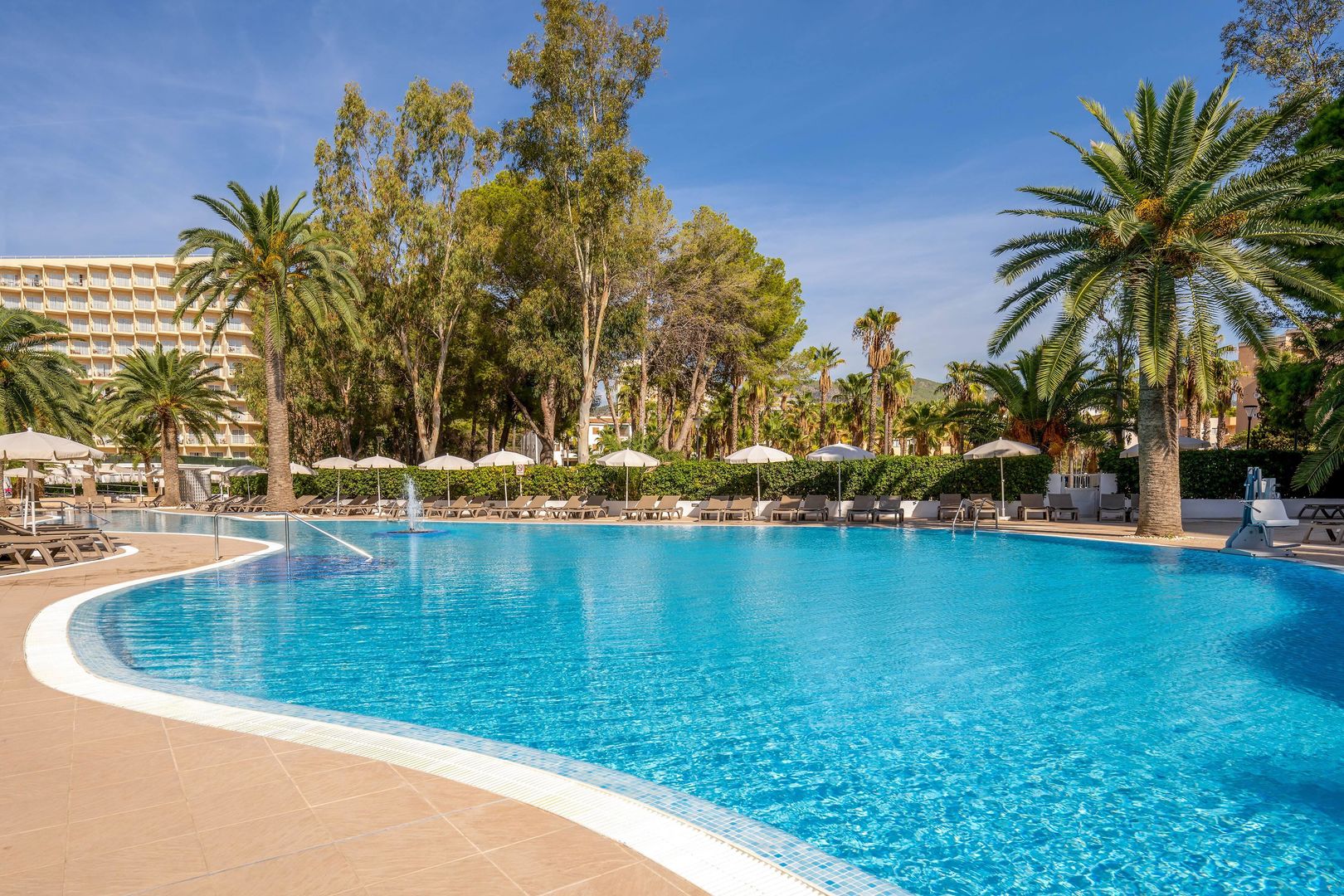 Sol Palmanova - Mallorca foto 13