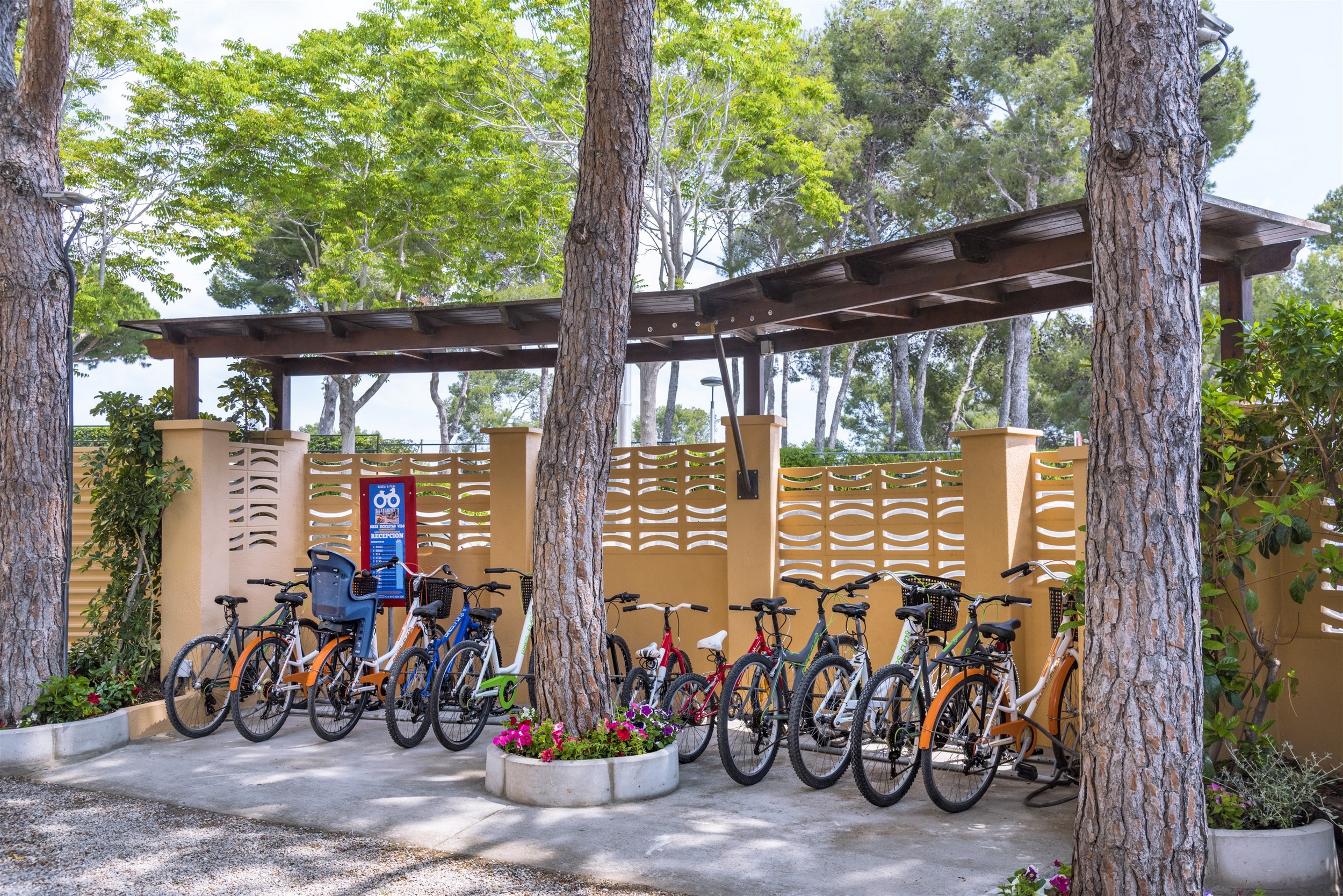 4R Playa Park foto 46