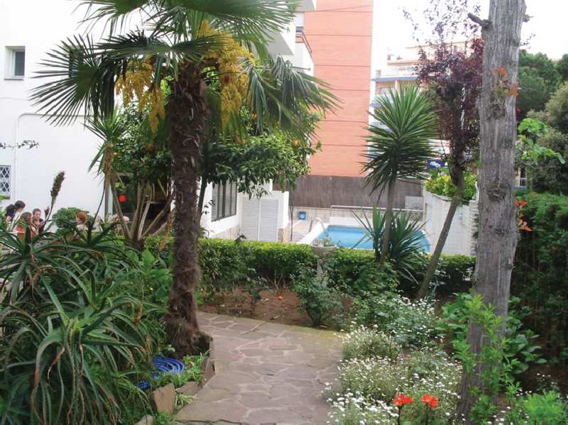 Hostal Magnolia image 1