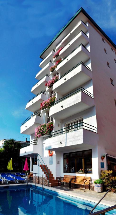 Hostal Magnolia foto 4