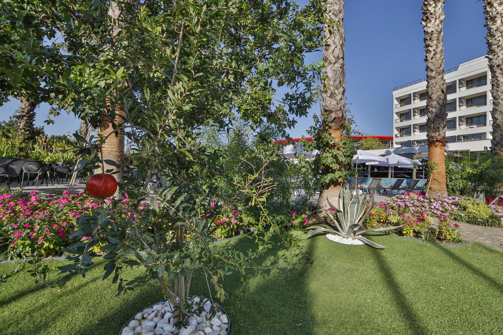 Nashira City Resort Hotel foto 6