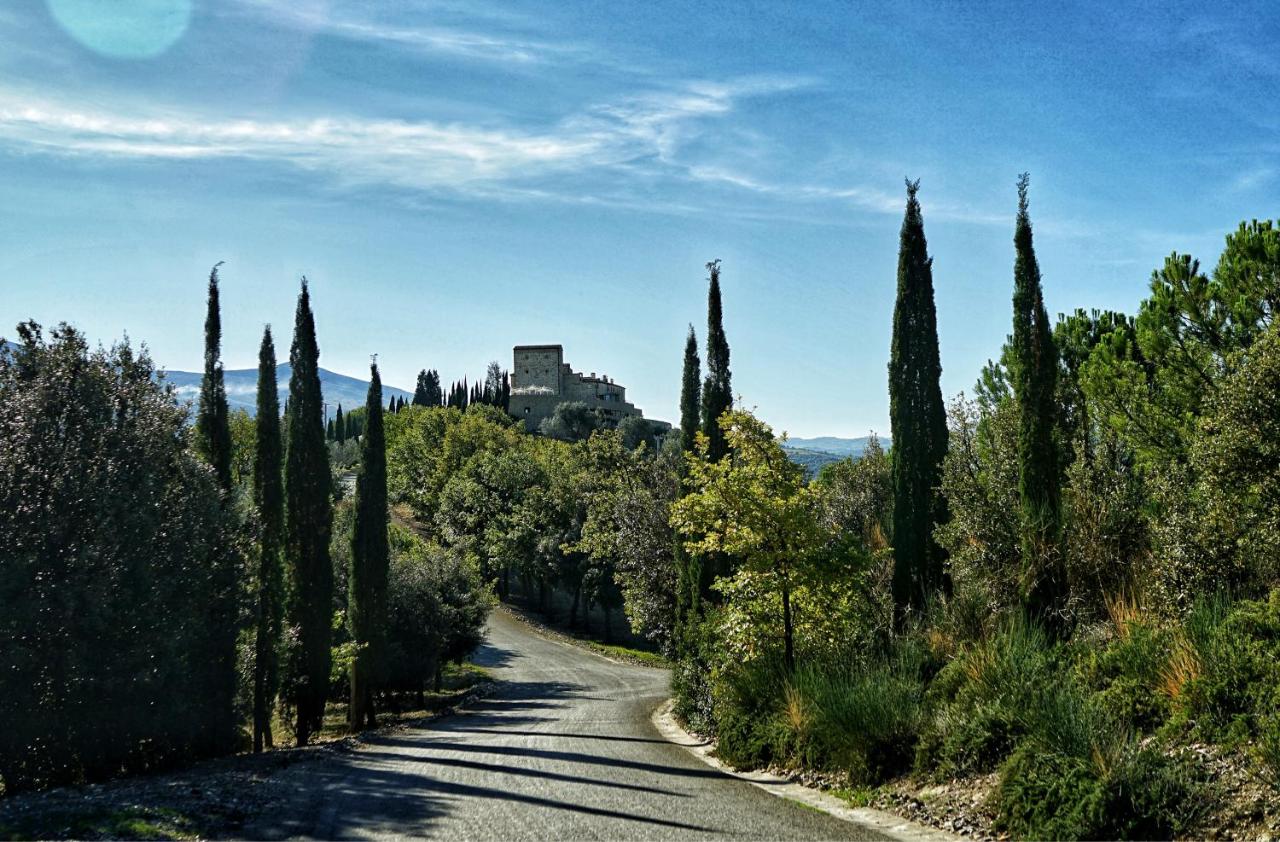 een weg met bomen en een gebouw op een heuvel bij Castello di Velona Resort, Thermal SPA & Winery in Montalcino