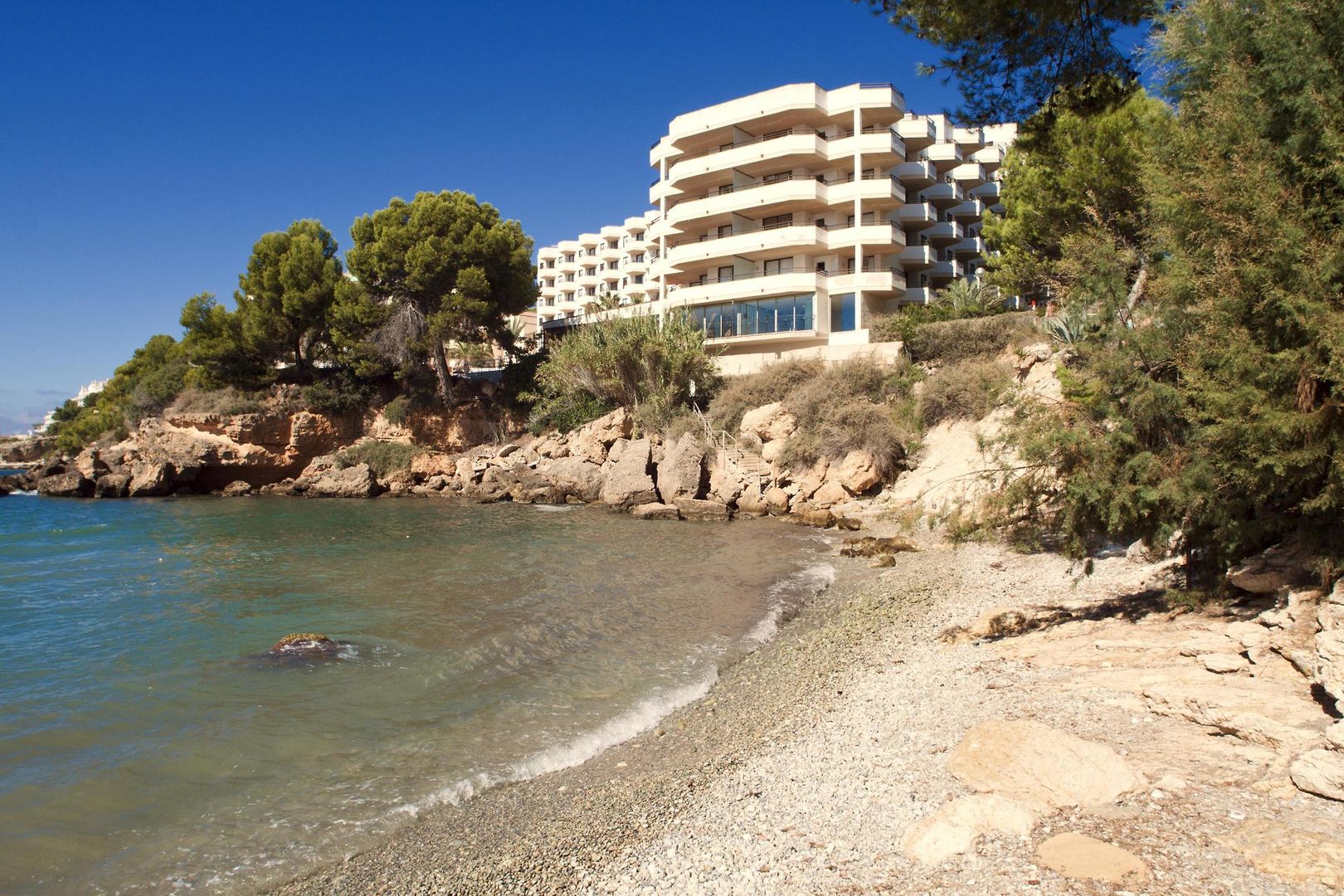 TRH Jardin del Mar foto 9
