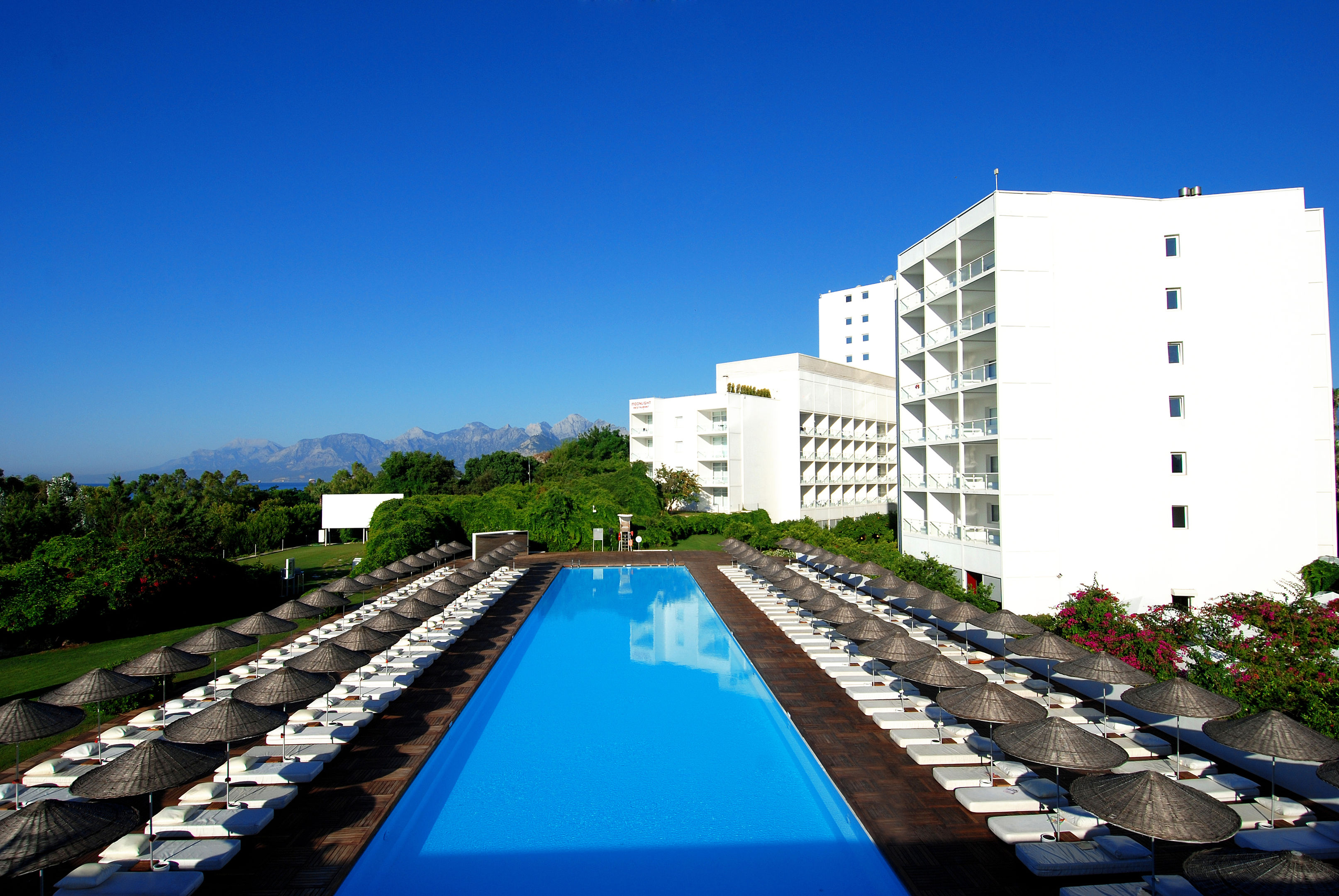 Hotel SU foto 12