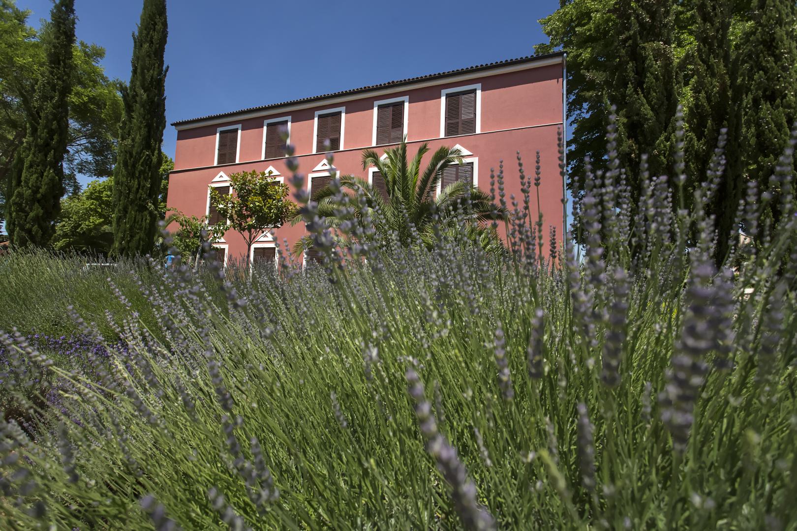 Villa Donat Depandence foto 7