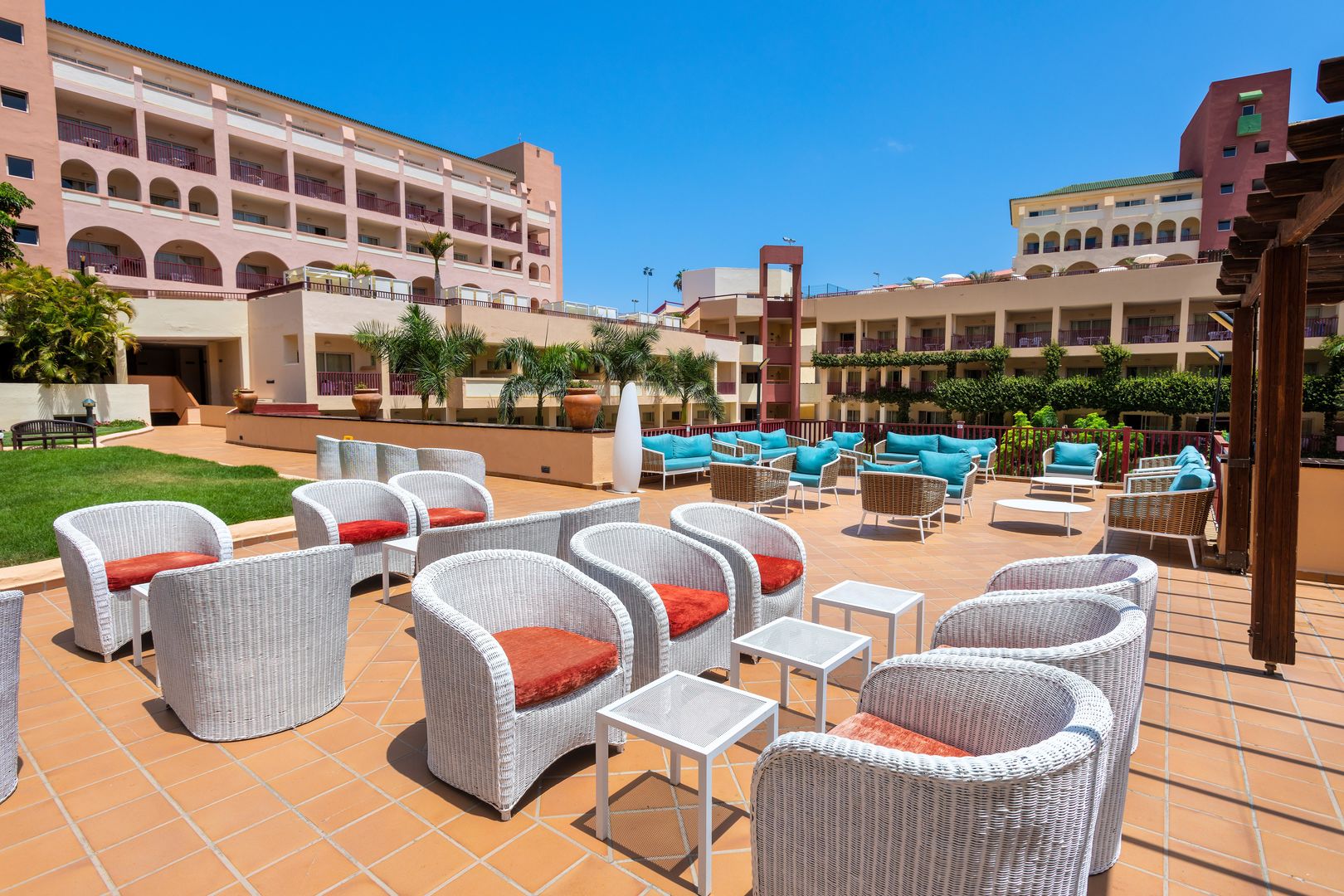 Best Jacaranda image 1