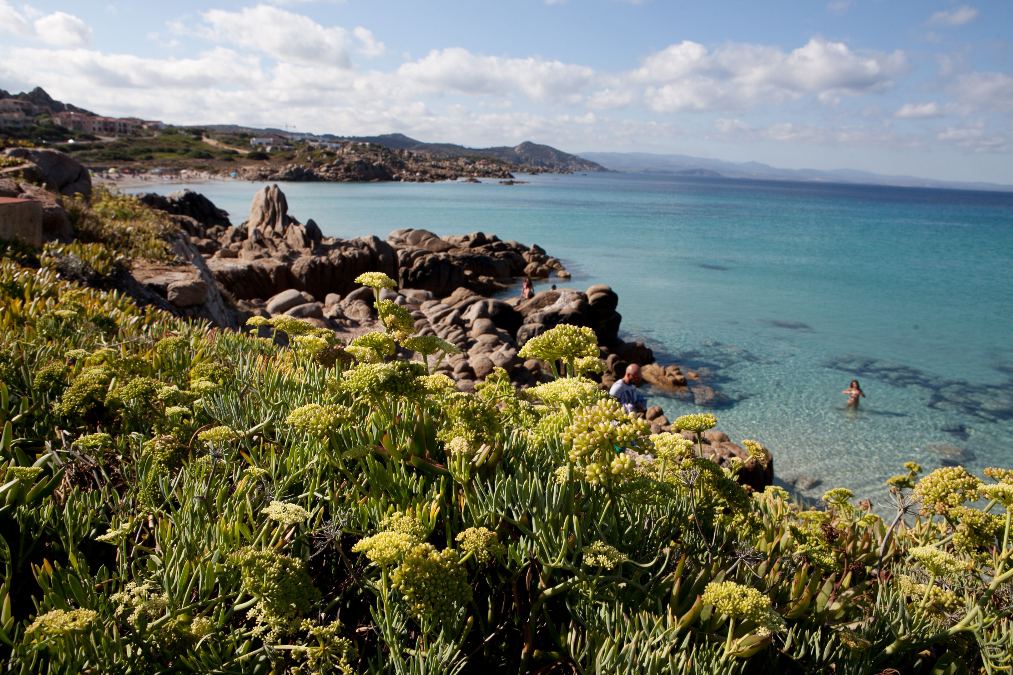 Club Esse Shardana image 2