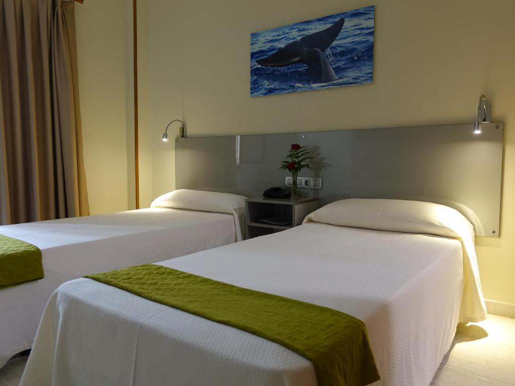 Andrea's Hotel Tenerife foto 11