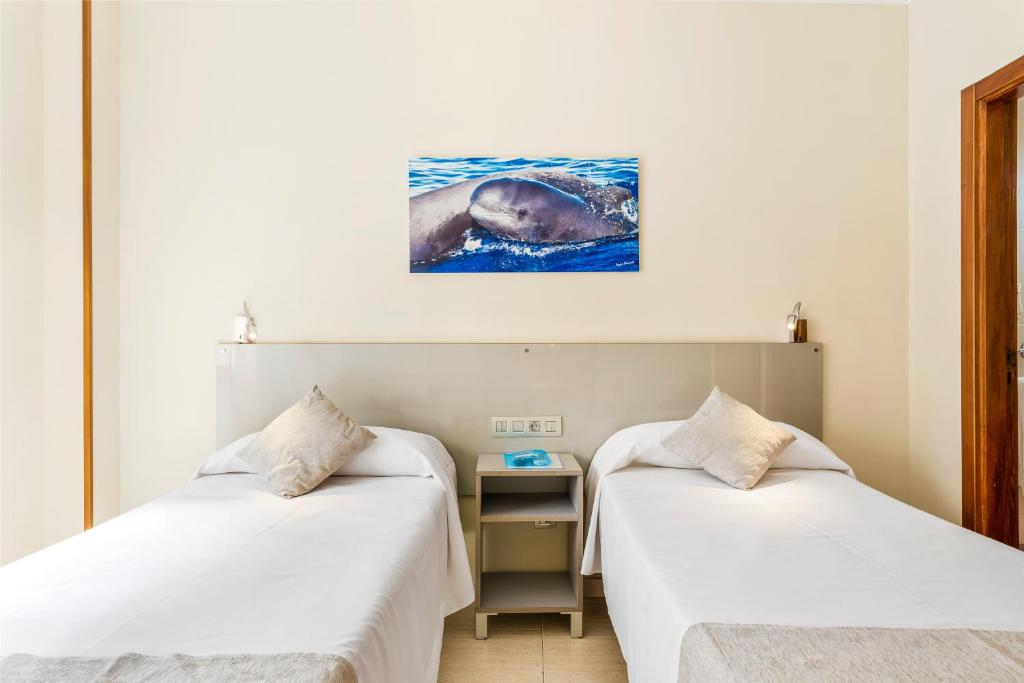 Andrea's Hotel Tenerife foto 12