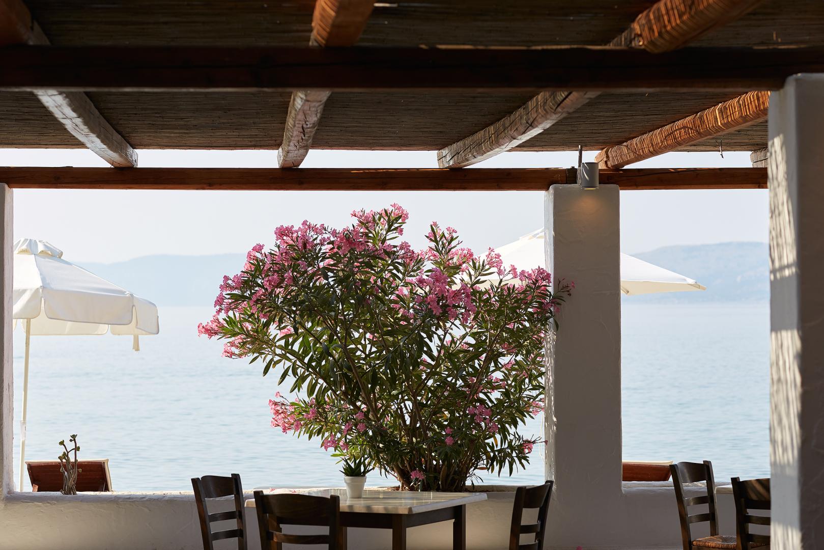 Hydra Beach Resort foto 35