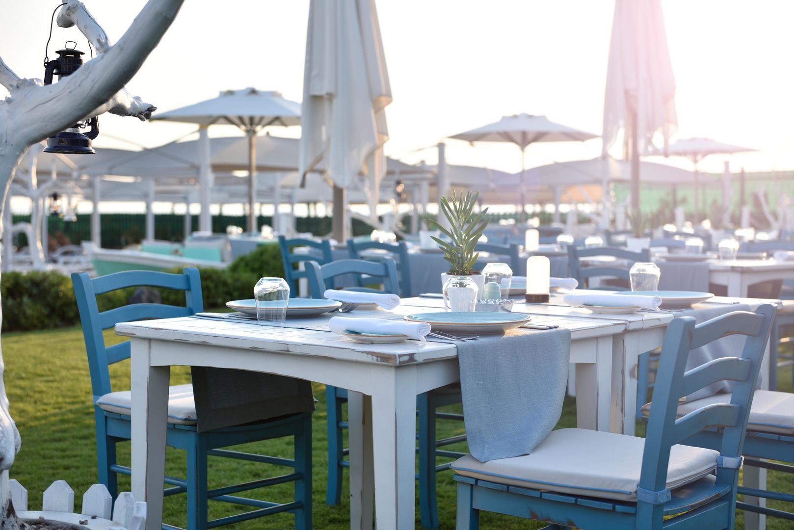 Regnum Carya foto 520