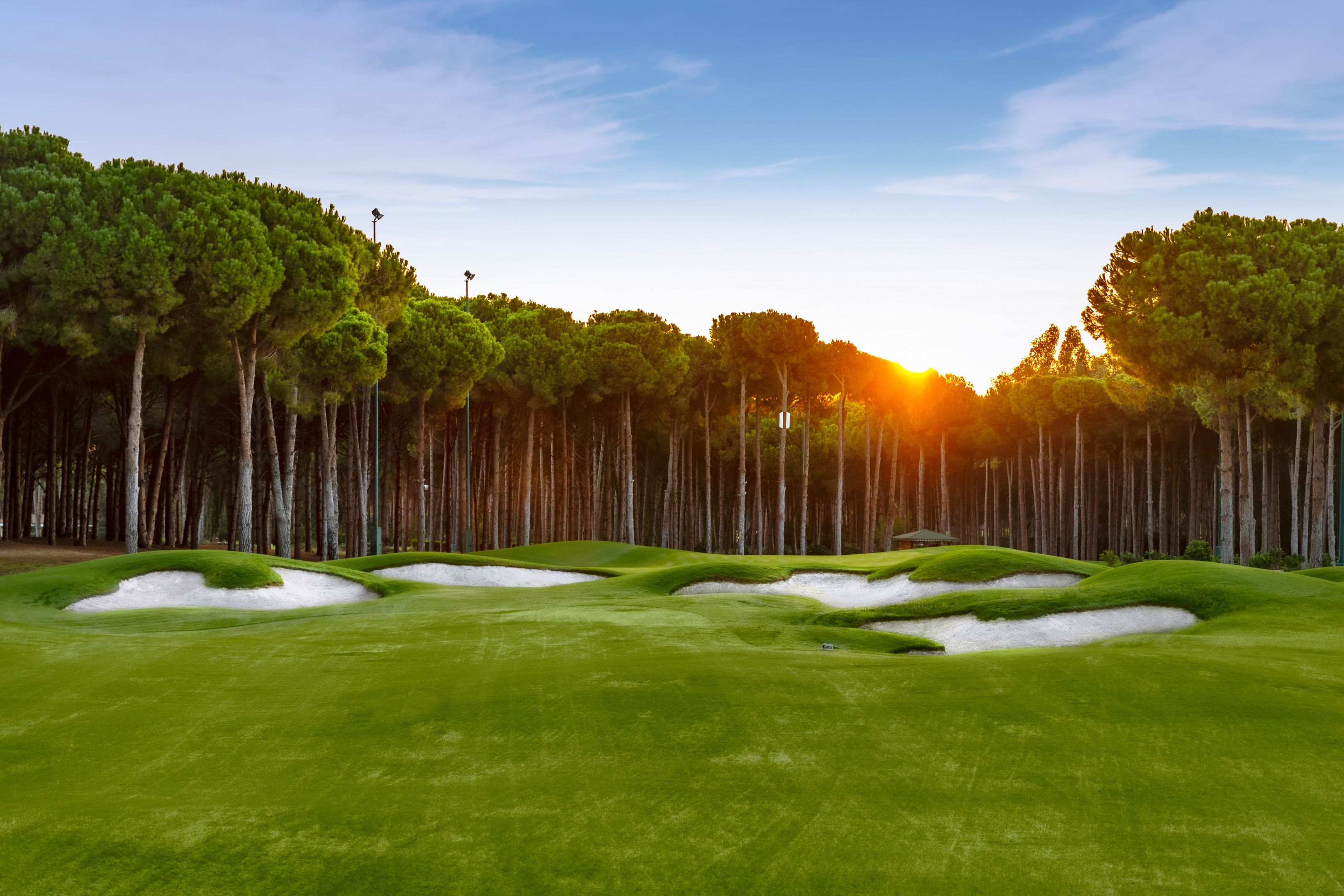 Regnum Carya foto 584