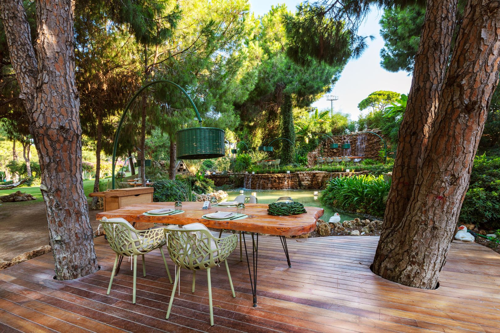 Regnum Carya foto 541