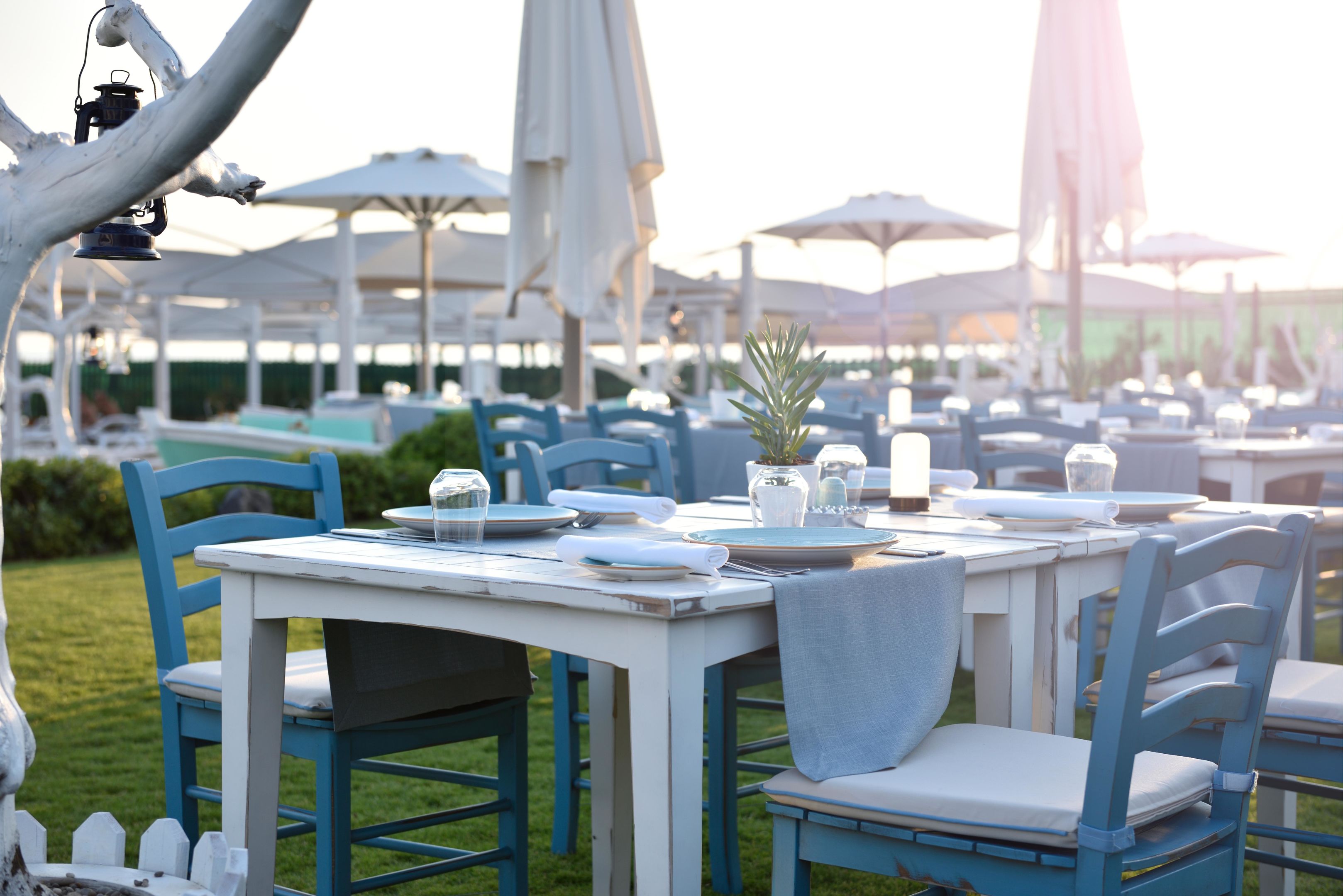 Regnum Carya foto 521