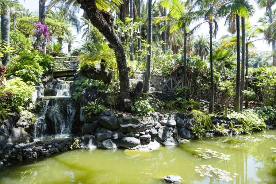 Precise Resort Tenerife foto 111