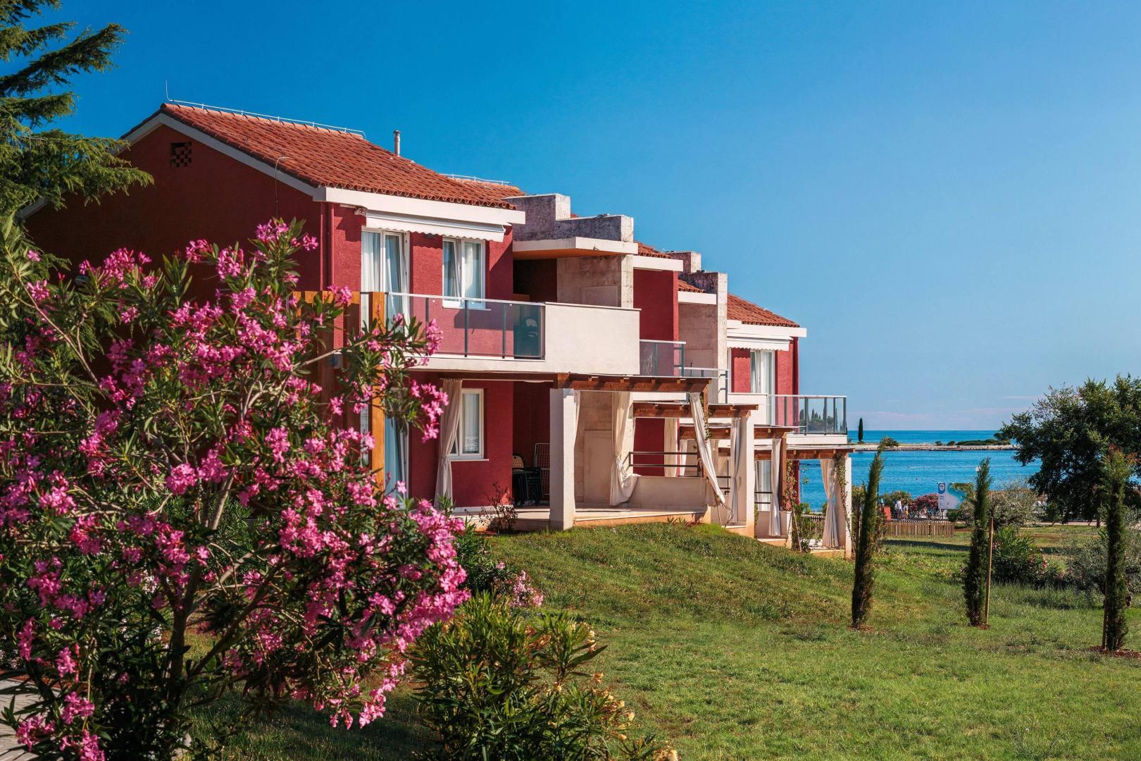 Apartments Katoro Plava Laguna foto 33