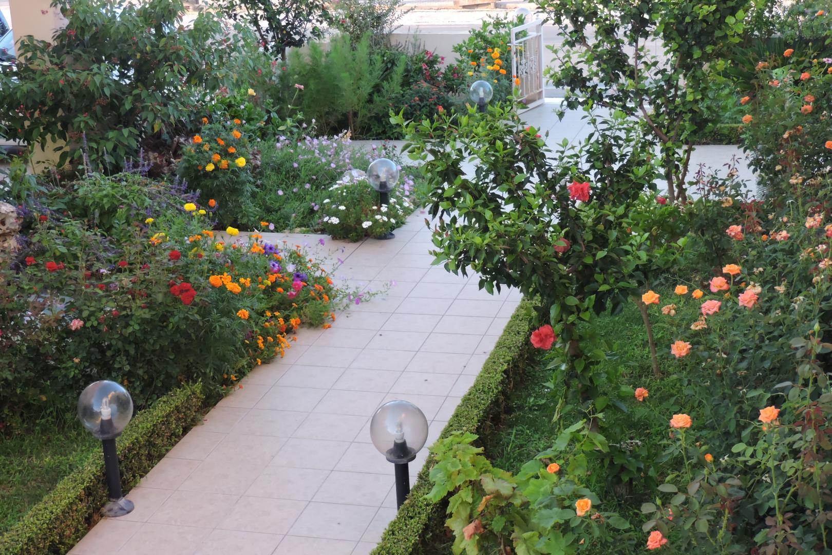 Golden Rose Suites foto 6