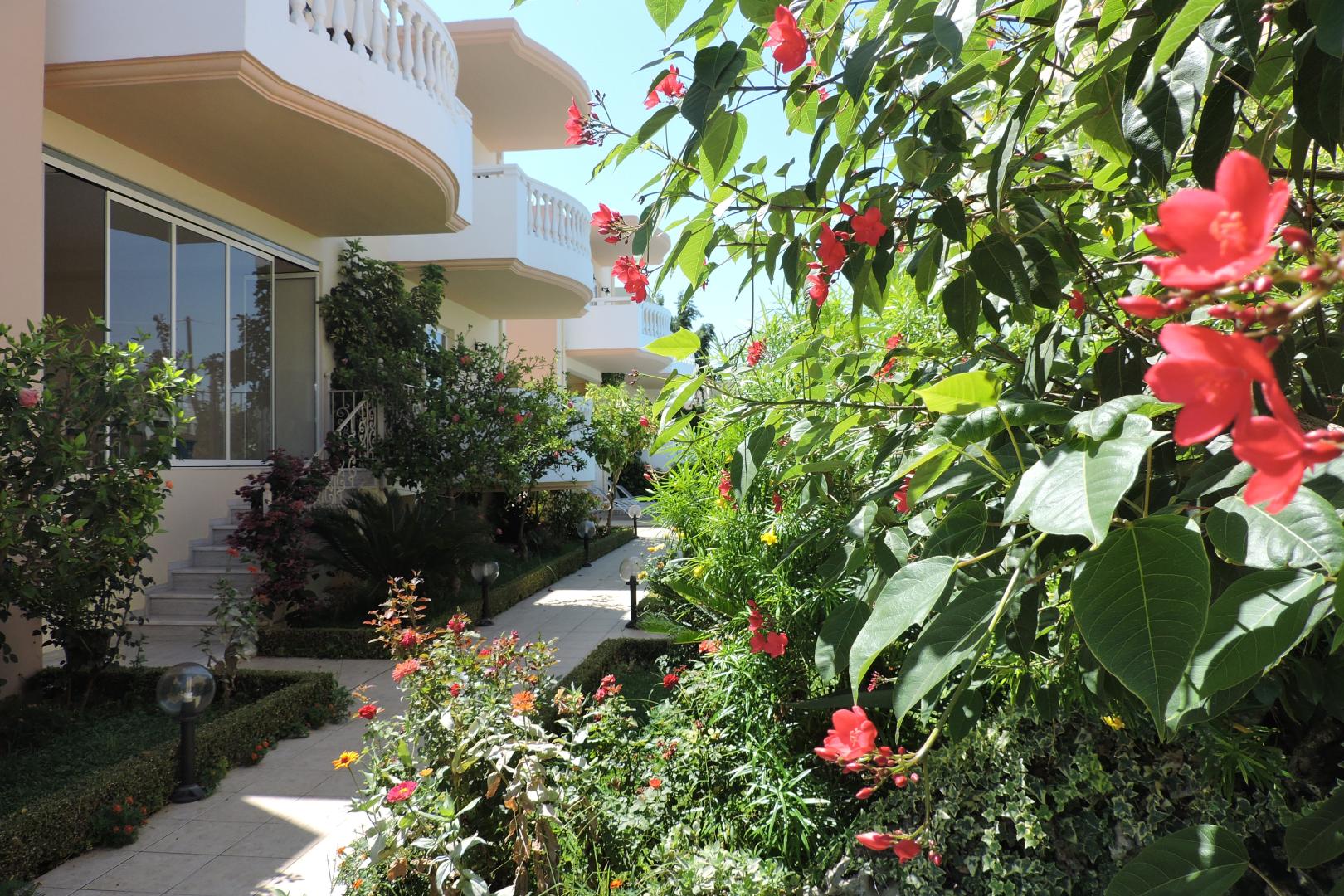 Golden Rose Suites foto 14