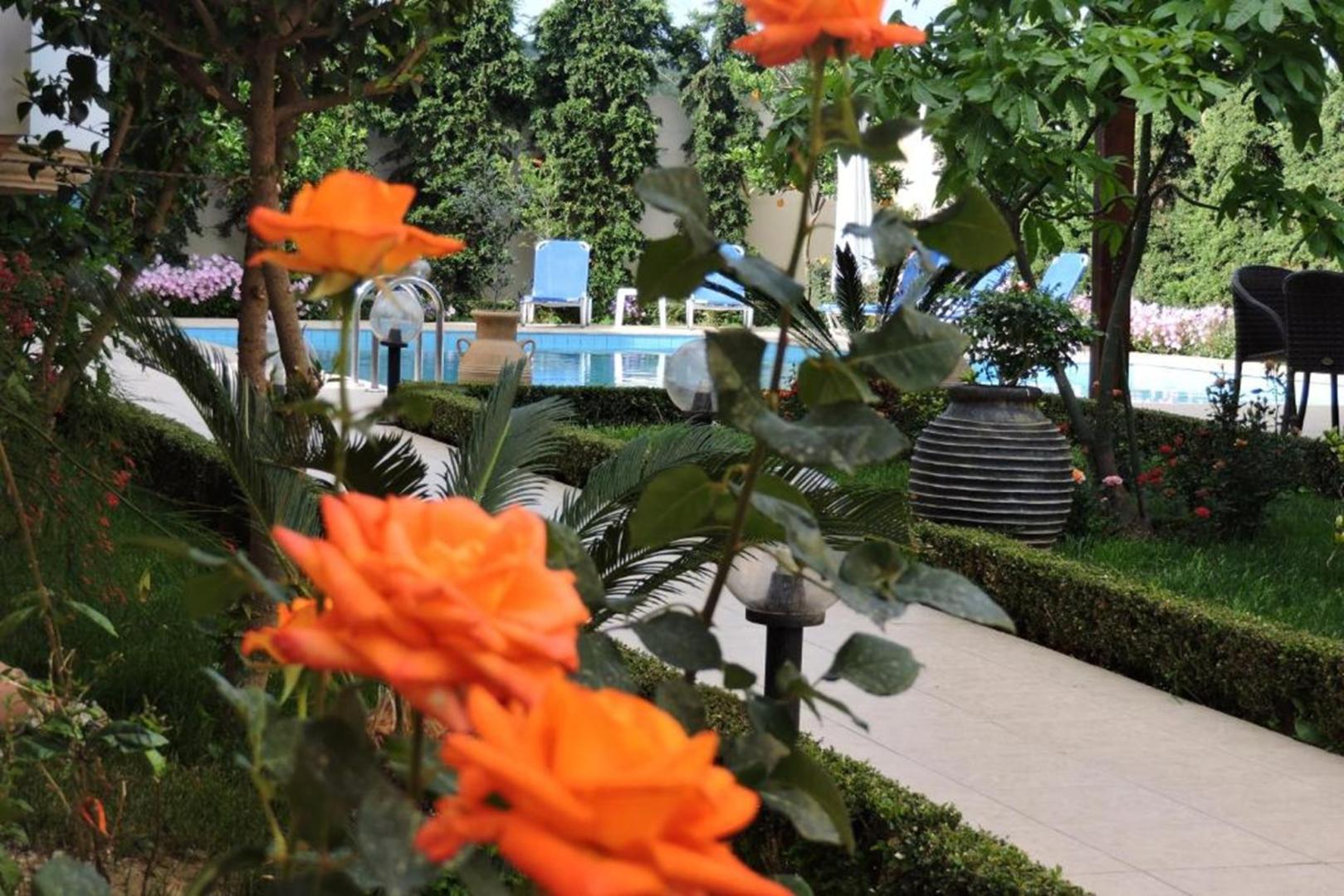 Golden Rose Suites foto 15