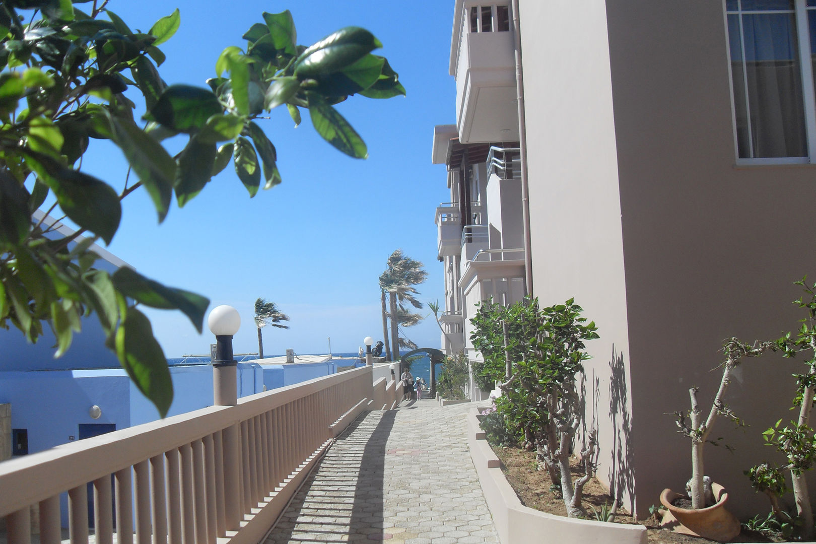 The Noverian Antama Organic Beach Resort Chania foto 53