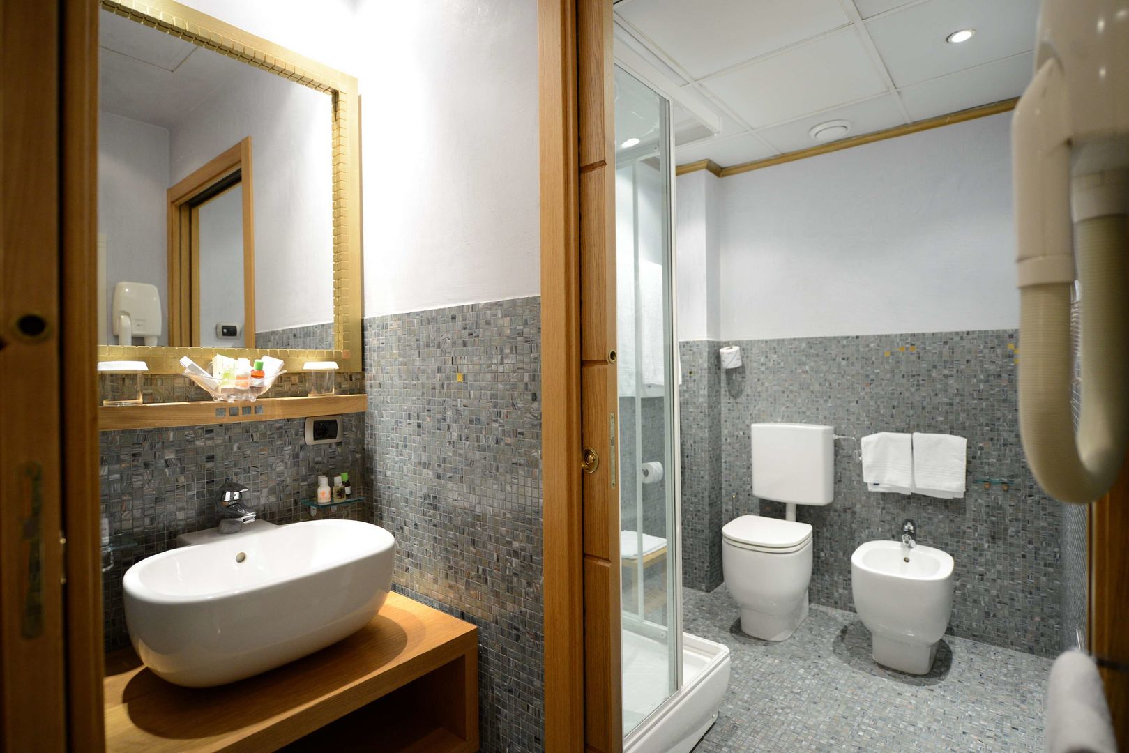 Hotel Firenze foto 91
