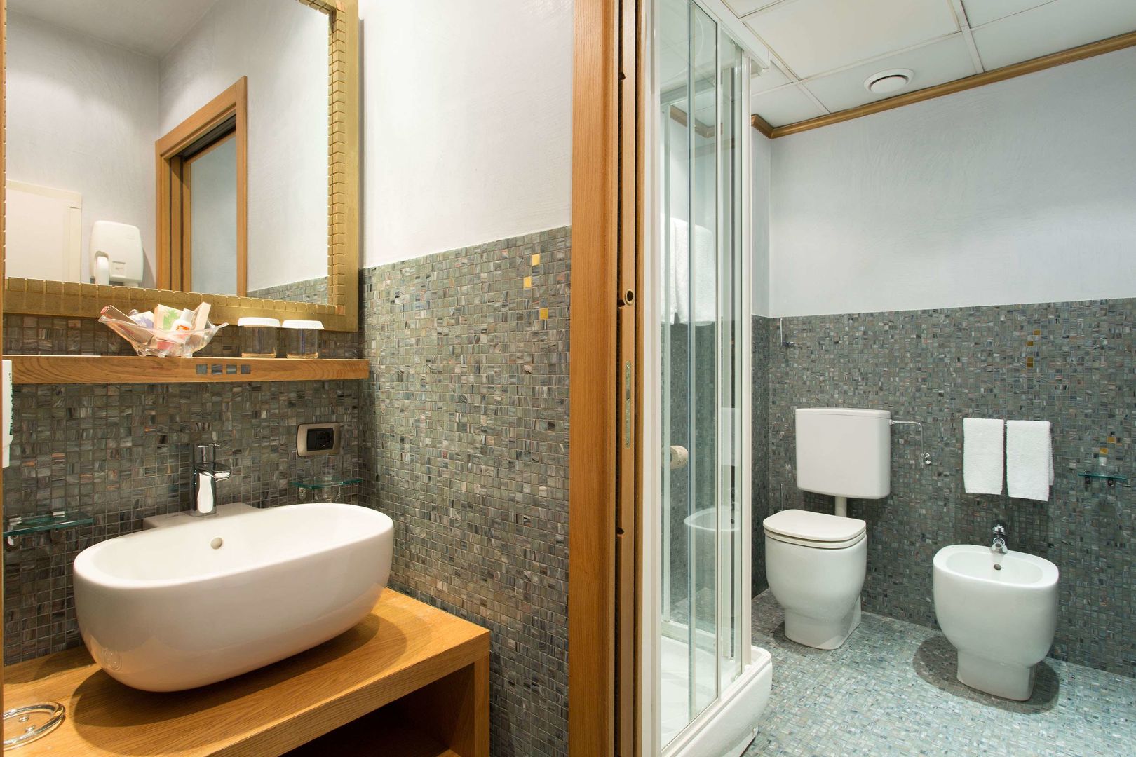 Hotel Firenze foto 118