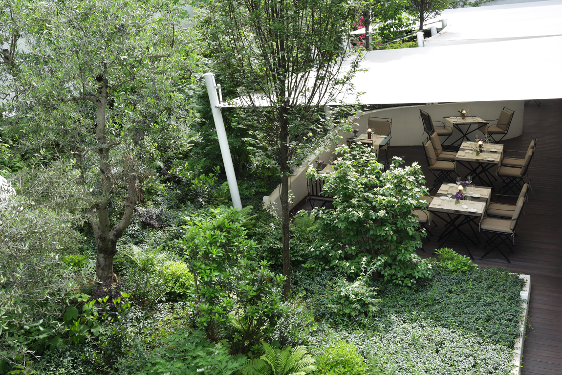 Magna Pars Suites foto 20