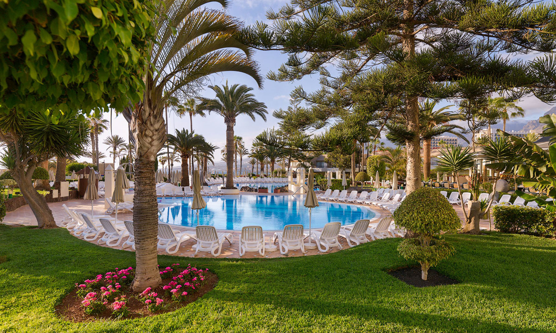 H10 Las Palmeras image 1