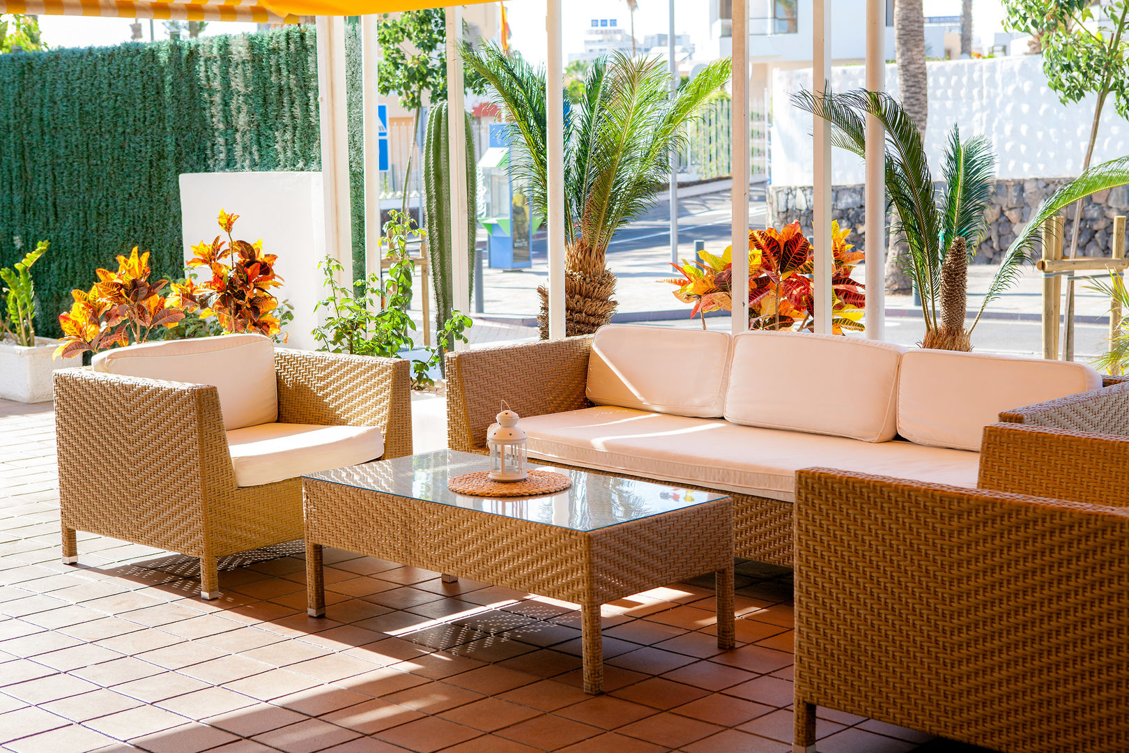 Apartamentos Paraíso del Sol image 2