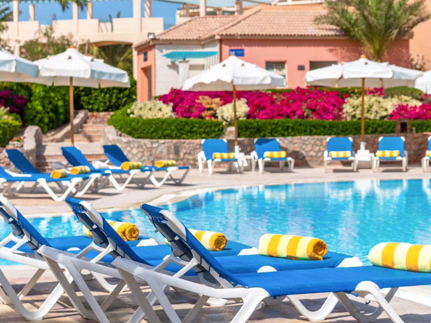 Mövenpick Resort & Spa El Gouna foto 63