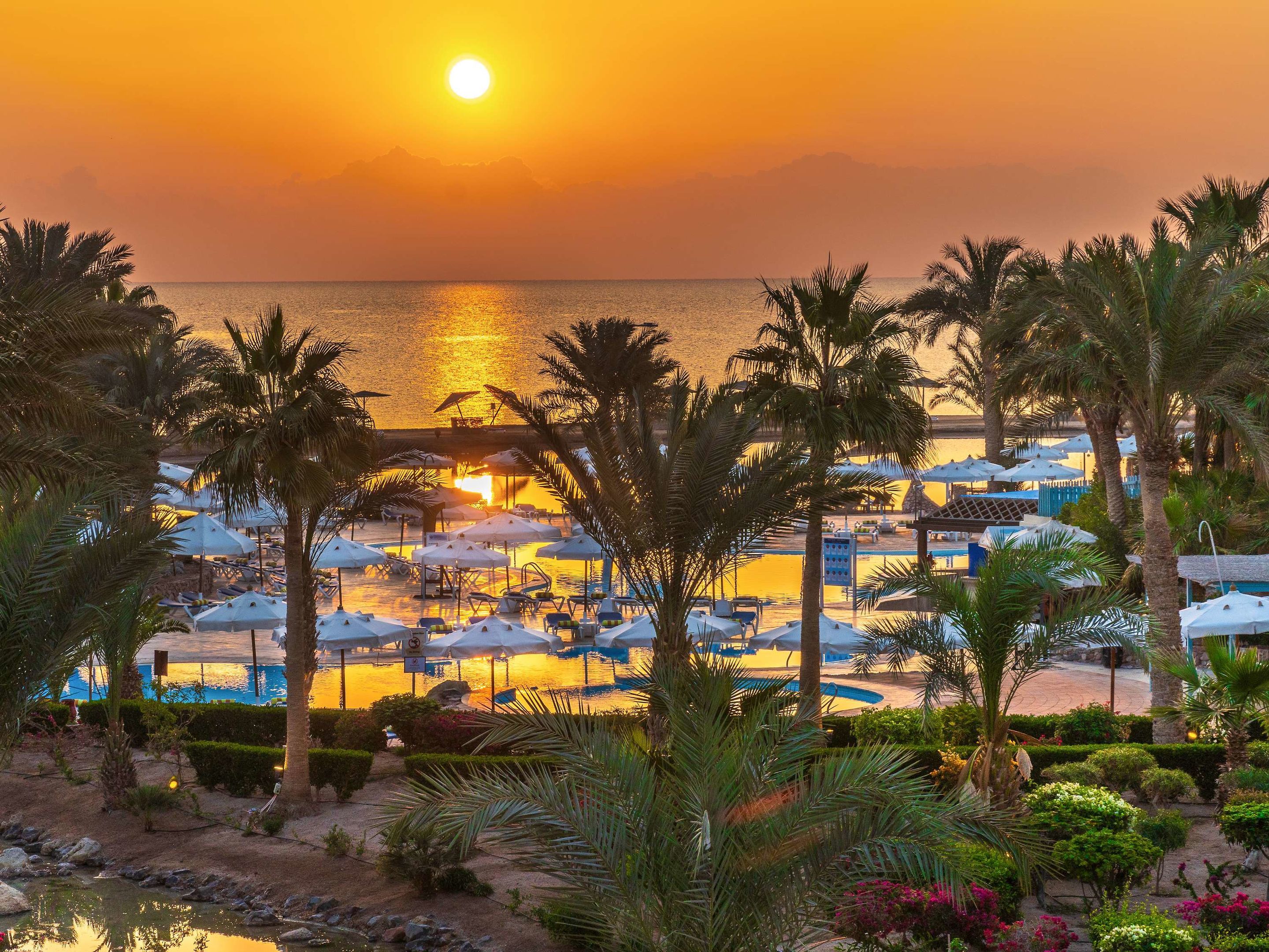Mövenpick Resort & Spa El Gouna foto 43