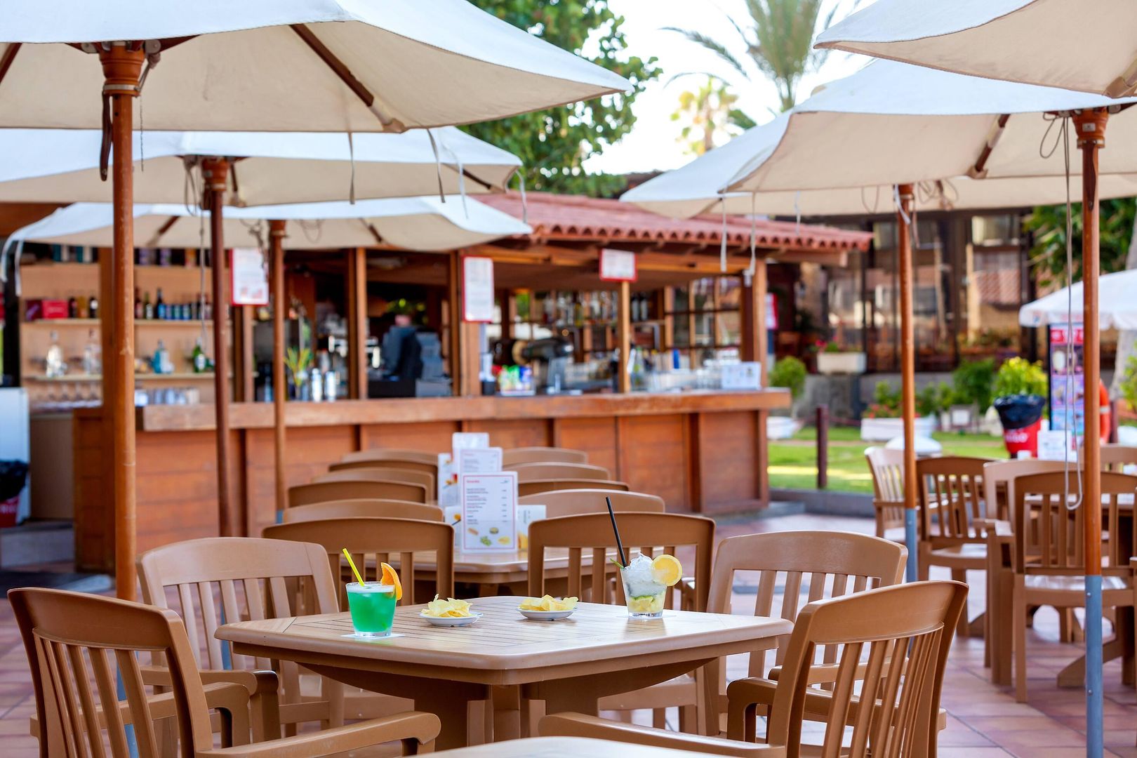 Sol Tenerife image 3