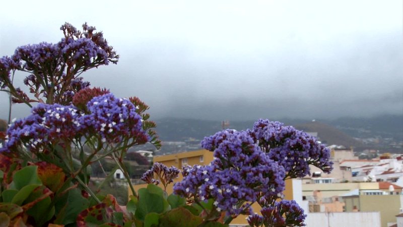 4 Dreams Hotel foto 38