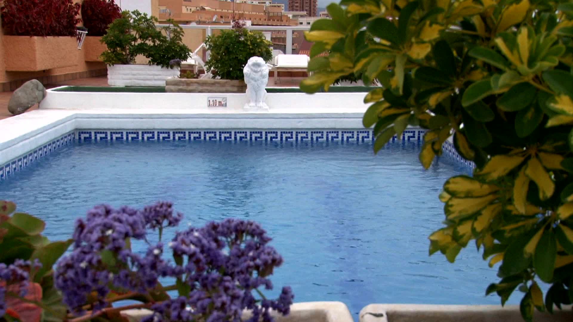 4 Dreams Hotel foto 7