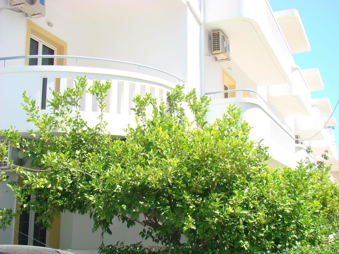 Diamond Apartments & Suites foto 16