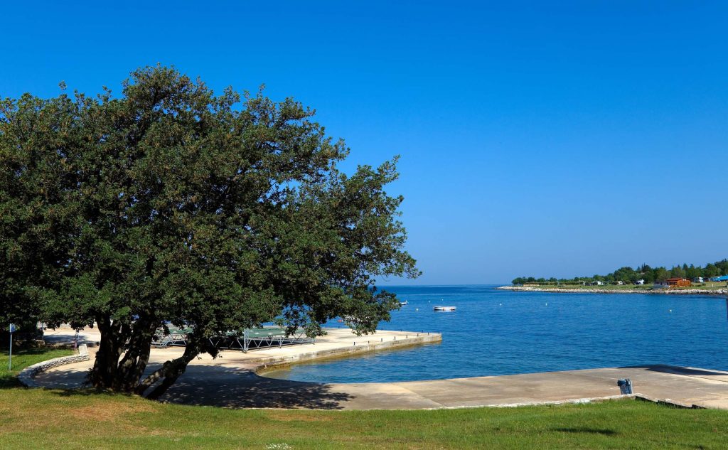 Camping Park Umag Mobile Homes foto 12