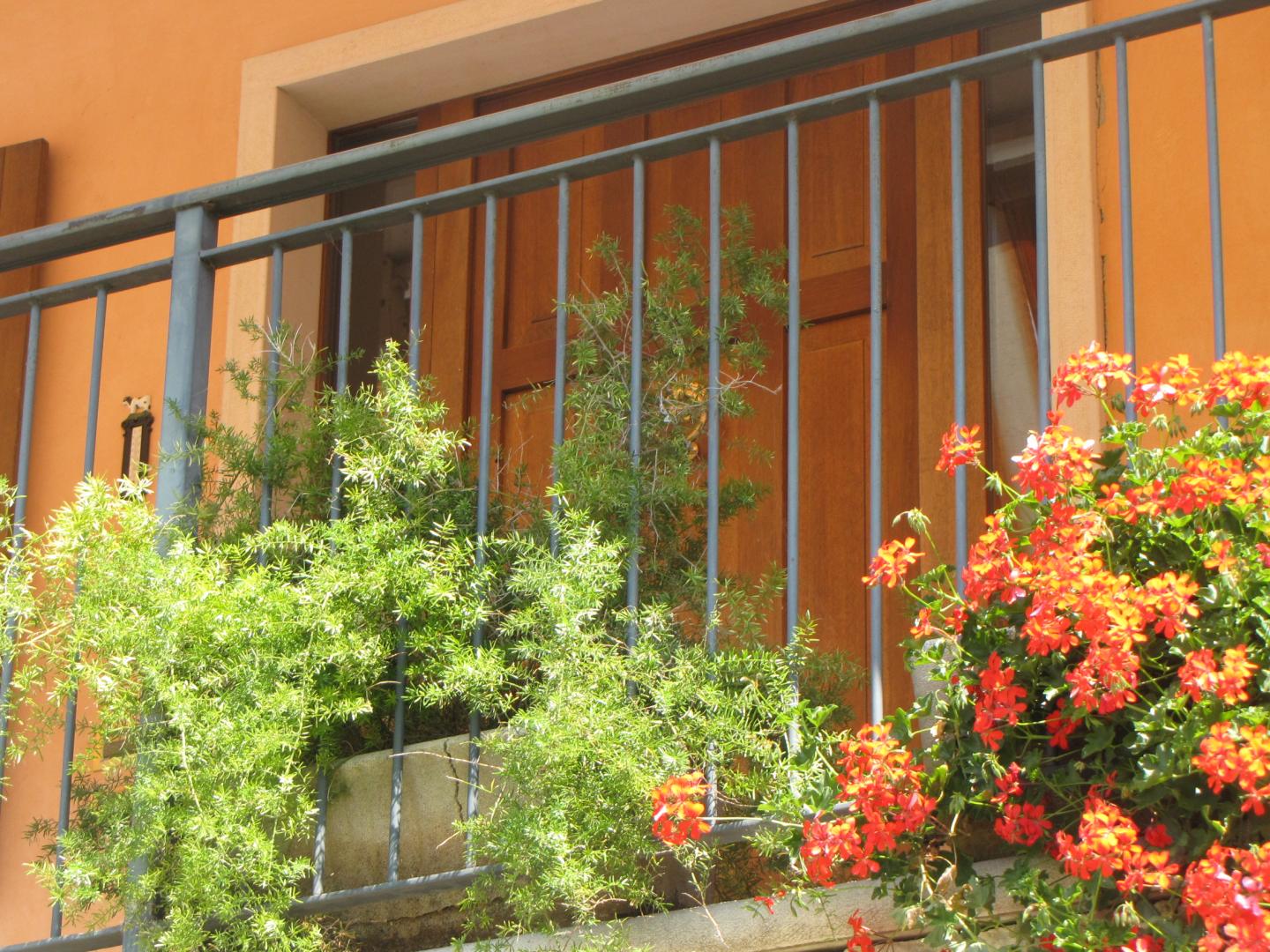 Villa Margherita foto 15
