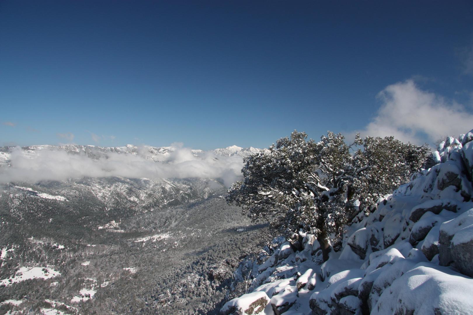 Hotel Rural Montaña de Cazorla foto 17