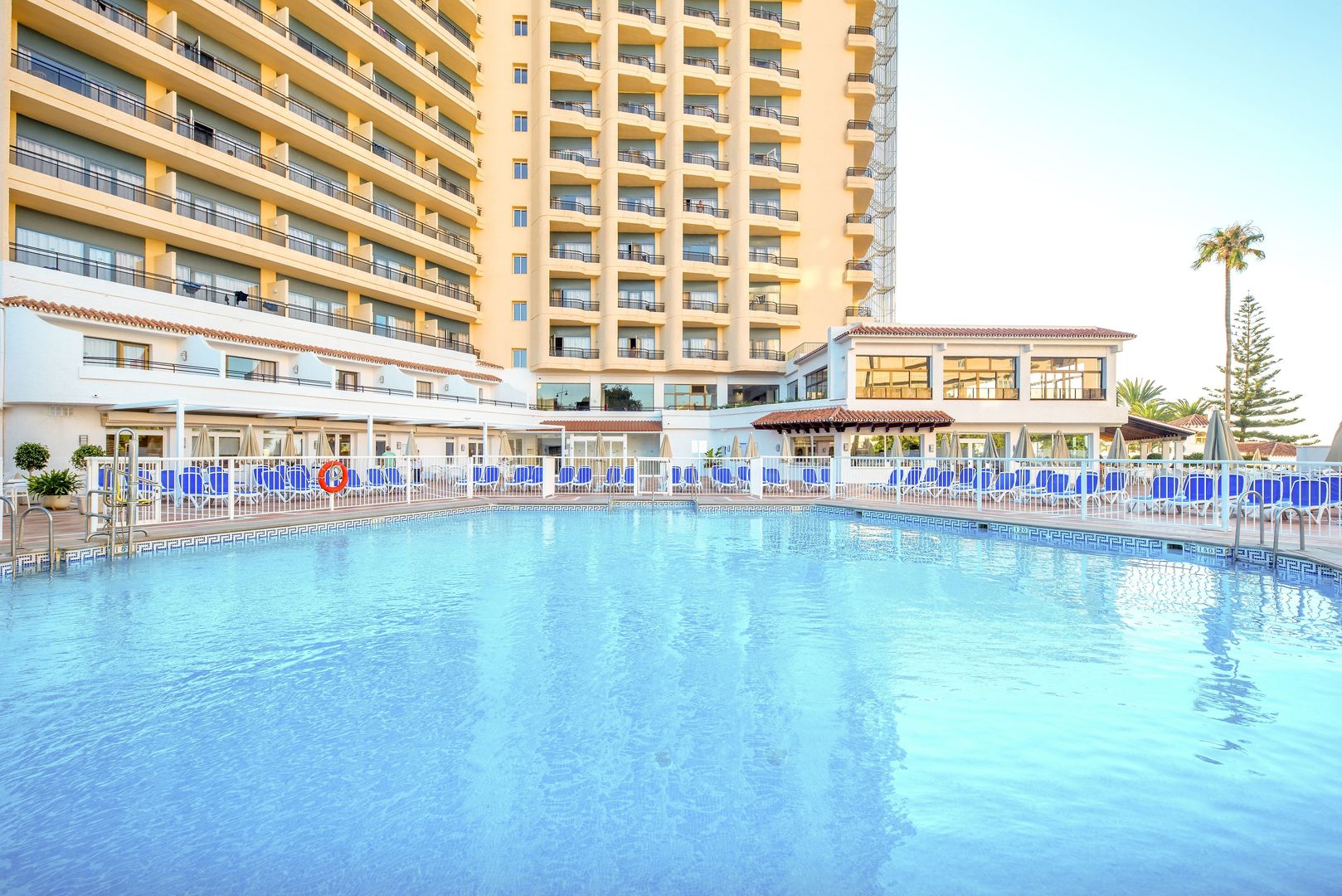 Globales Gardenia image 0